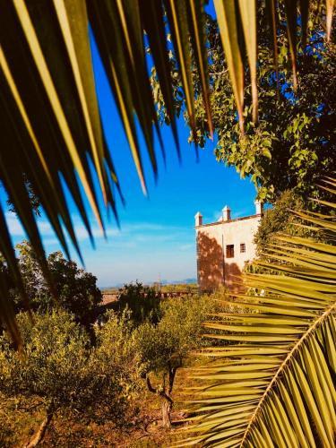 Agroturismo Son Boronat 2