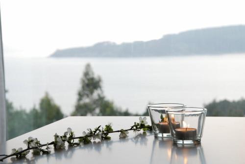 Hotel de Naturaleza AV 5