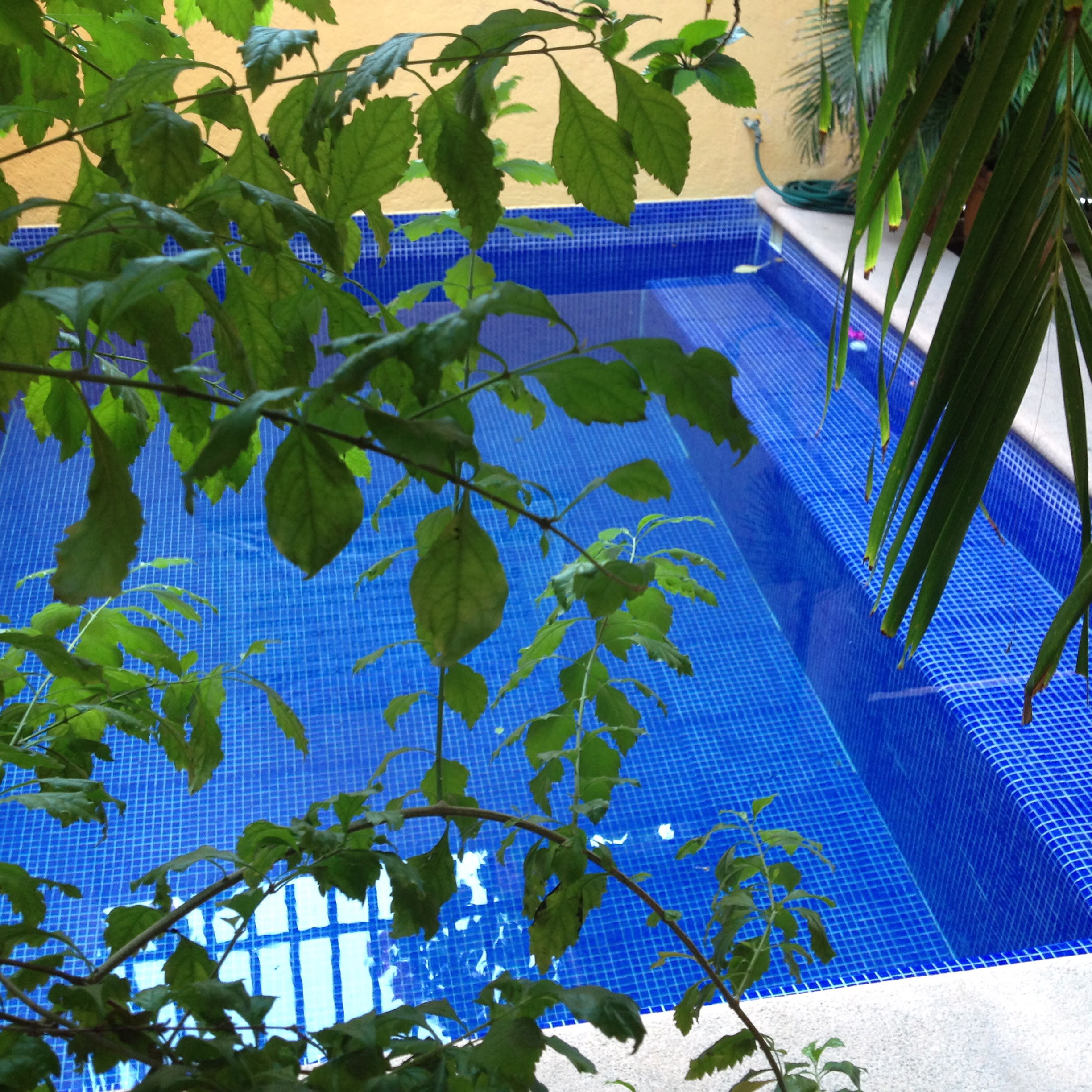 Hotel Las Salinas 1