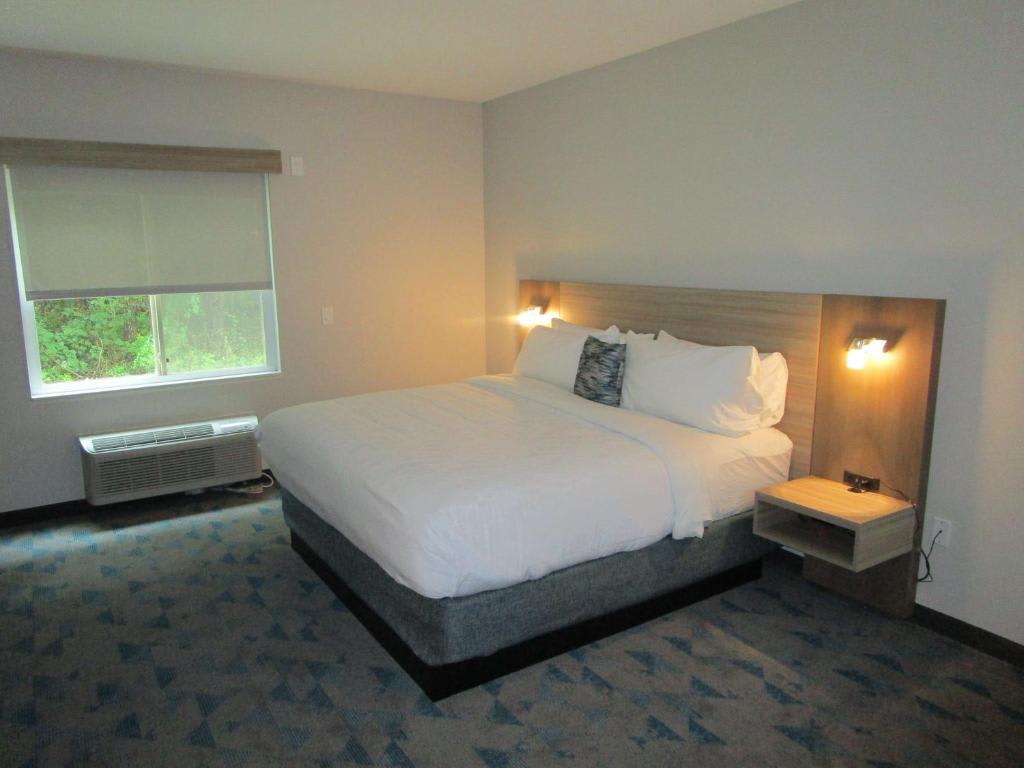 Reddy Hotel Bonham 1