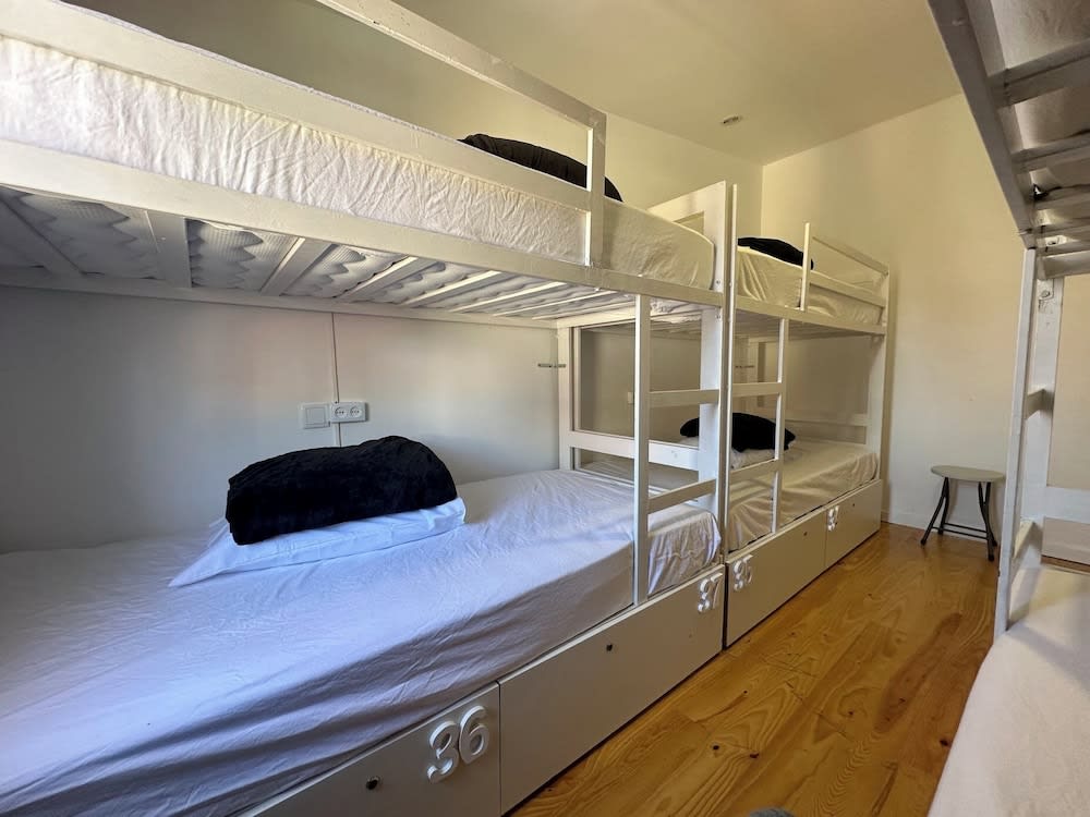 Owls Hostel Ribeiro 3