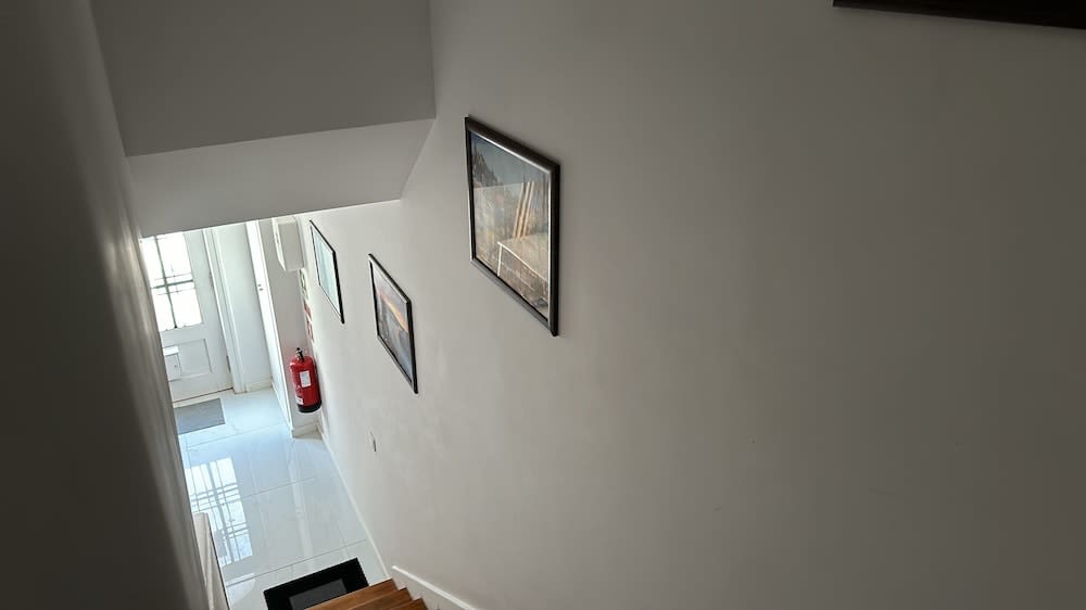 Owls Hostel Ribeiro 5