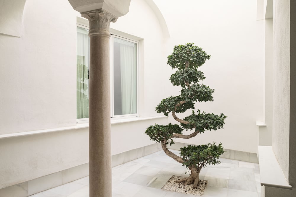 Mylu Suites by Puerta Catedral 2