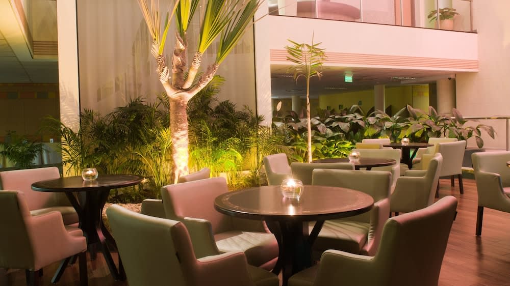 Holiday Inn SAO PAULO PARQUE ANHEMBI by IHG 2