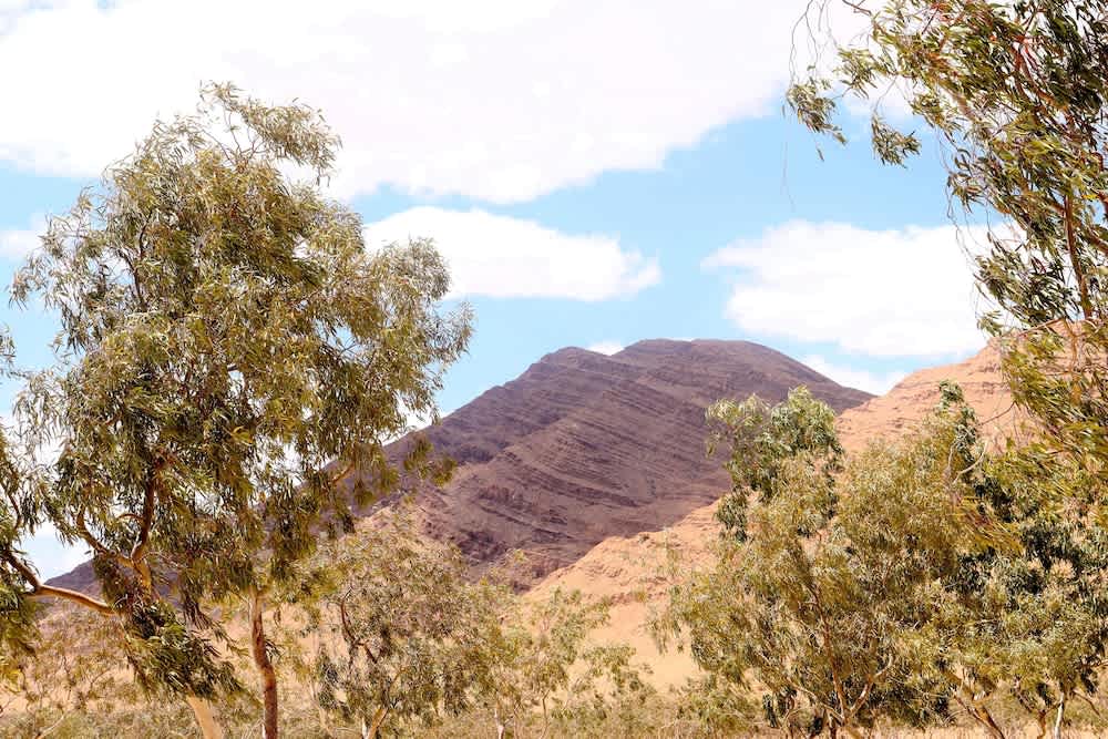 Capsa Thermal Oasis 2