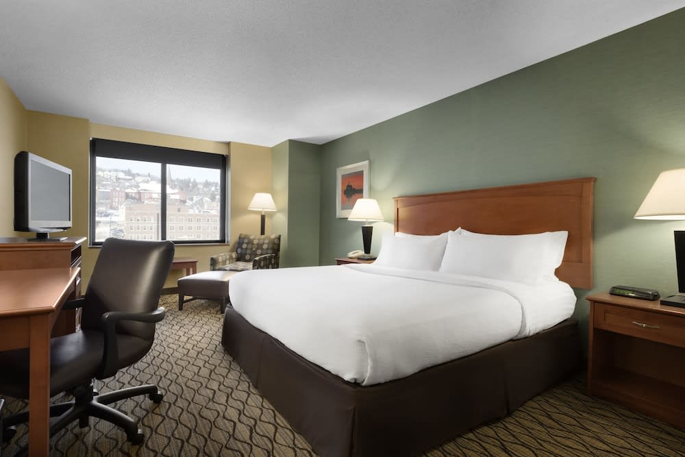 Holiday Inn & Suites DULUTH-DOWNTOWN by IHG 2