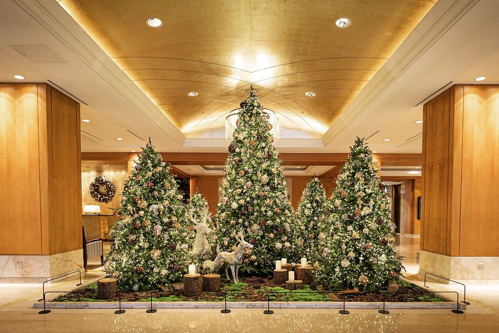 Lotte Hotel Seoul Executive Tower 2