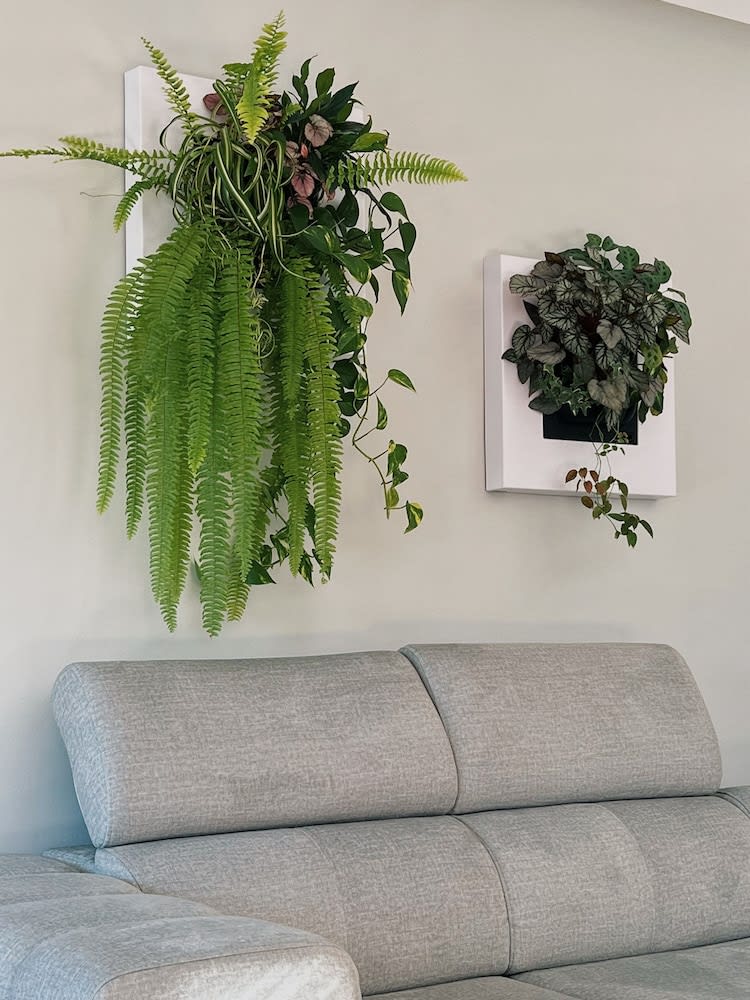 Luna House & Cowork 2