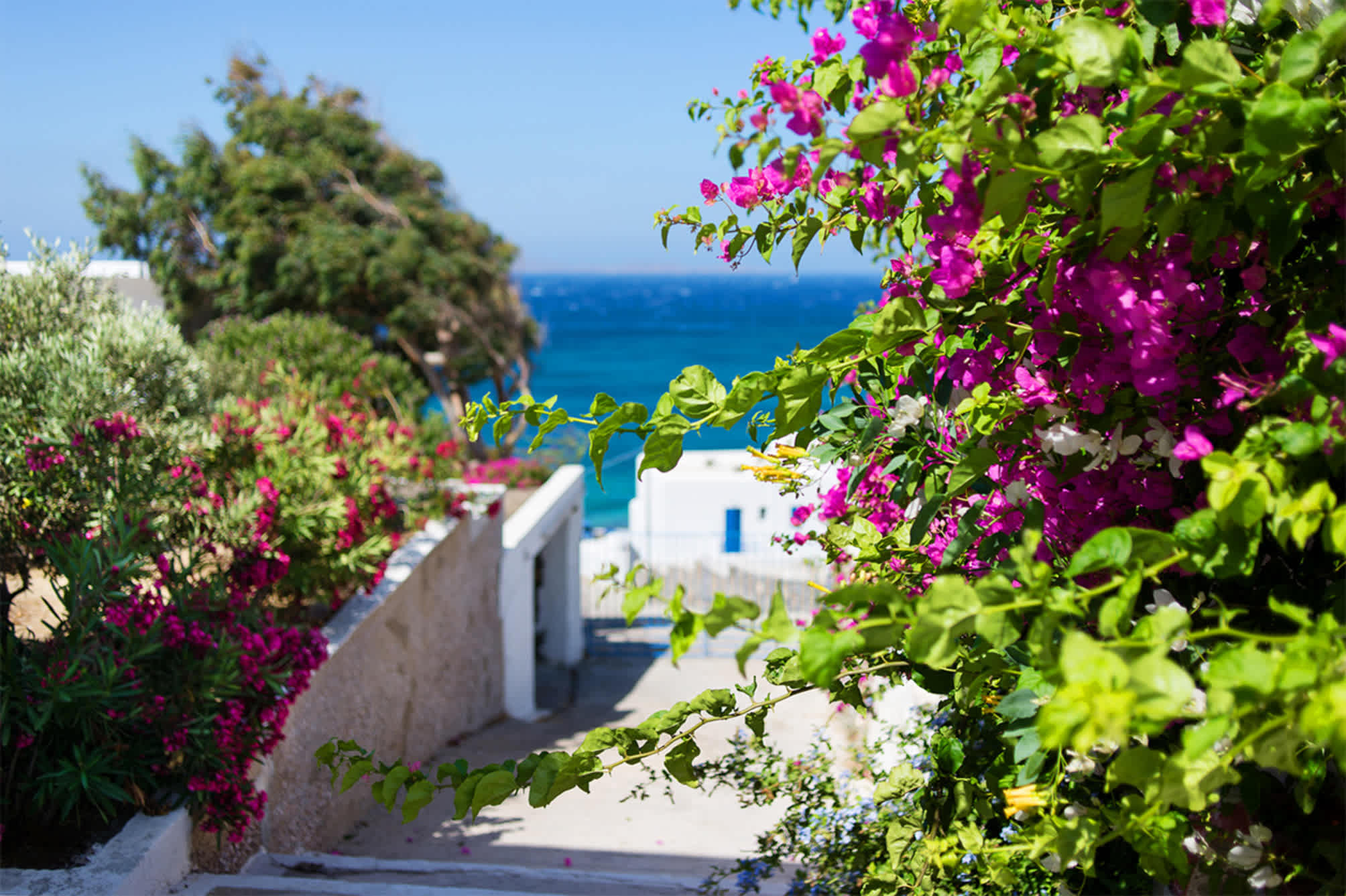 Alkistis Beach Hotel - Adults Only 2