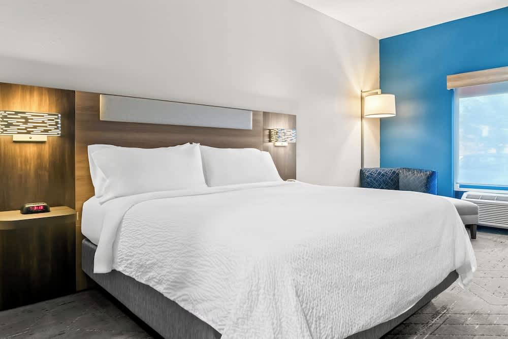 Holiday Inn Express & Suites DETROIT-NOVI by IHG 2