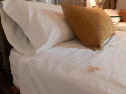 Hotel Boutique Nueve Leyendas 5