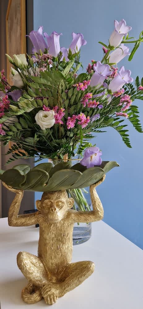 Jolly Charme Suite 3