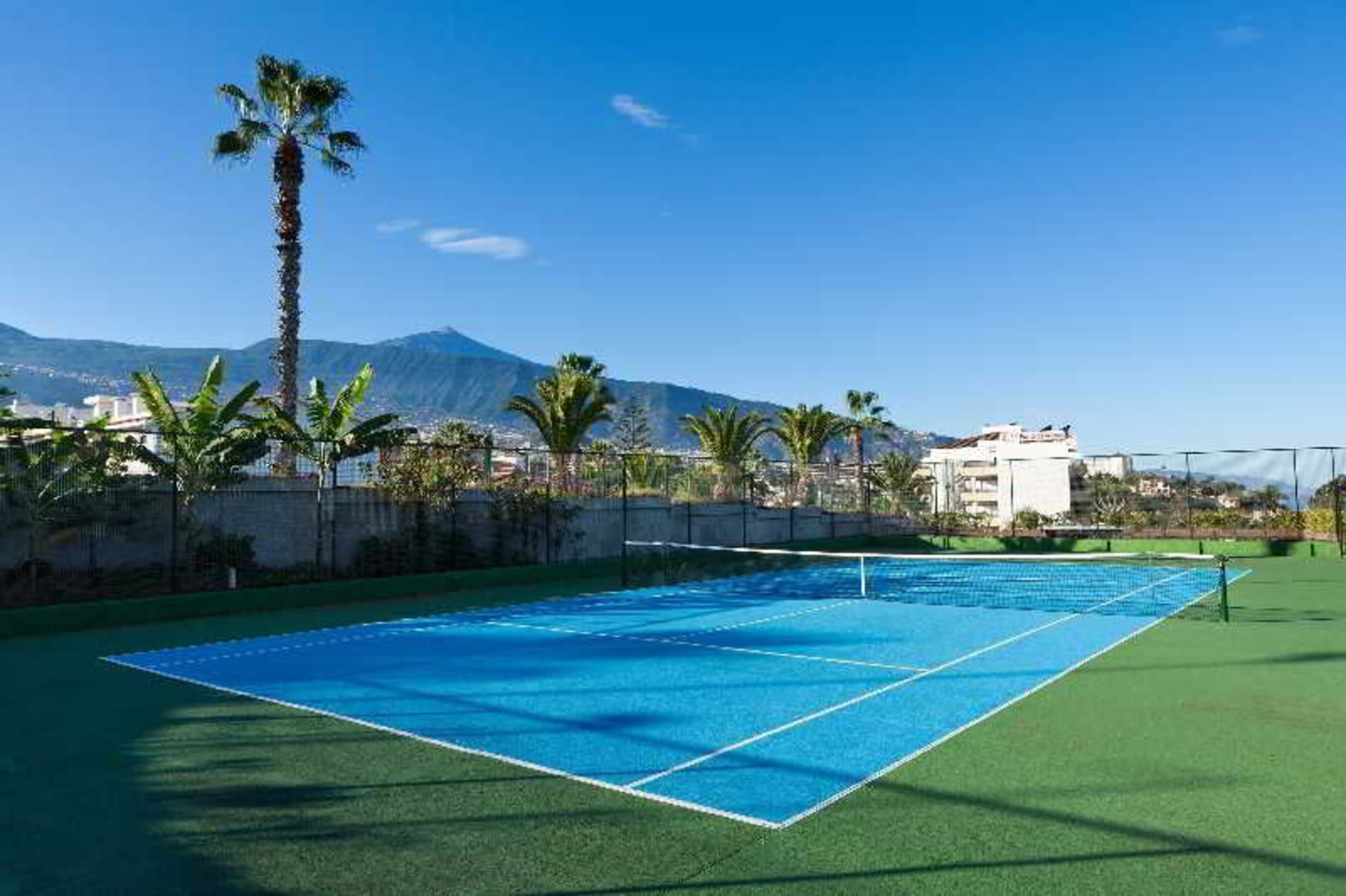 Fergus Puerto de la Cruz 2