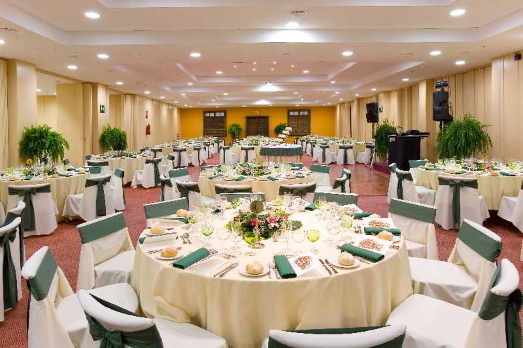 Fergus Puerto de la Cruz 4