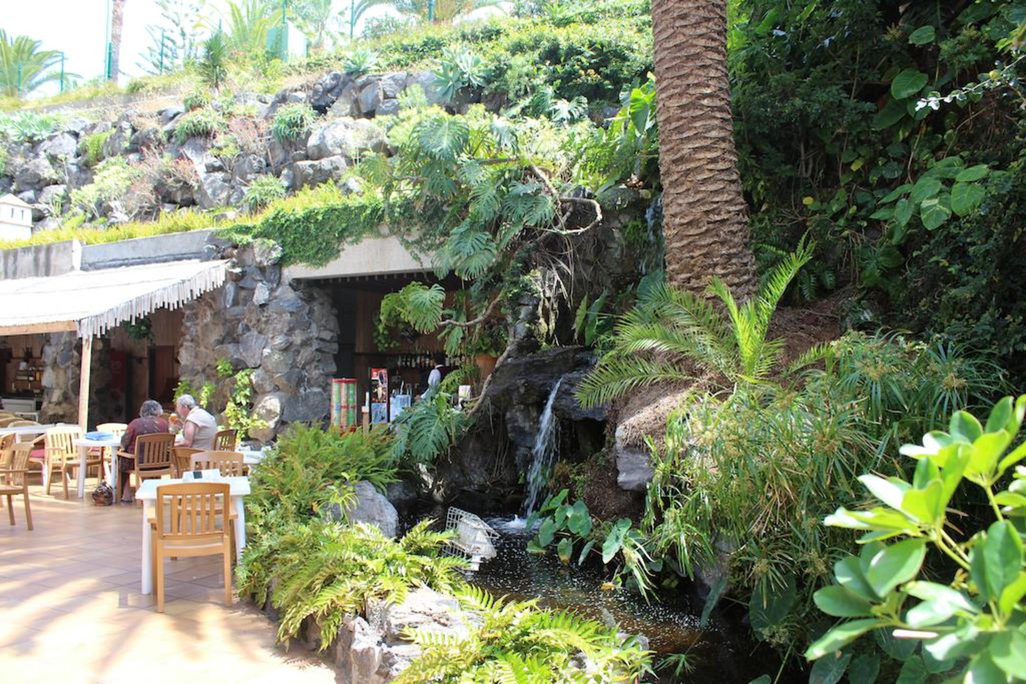 Fergus Puerto de la Cruz 3