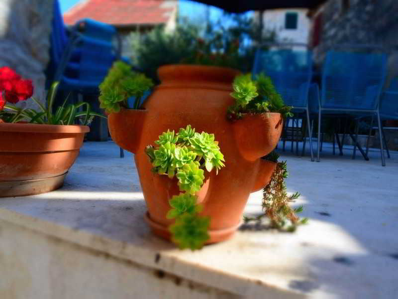 Apartments Slavica Trogir 2