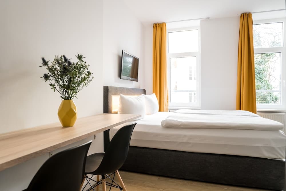 Homaris Boxi Studios 2