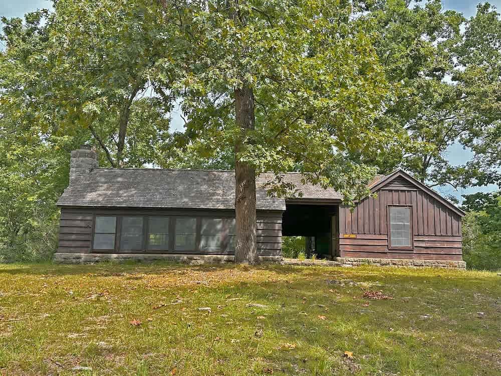 Pin Oak 1