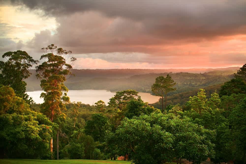 Montville Misty View Cottages 1