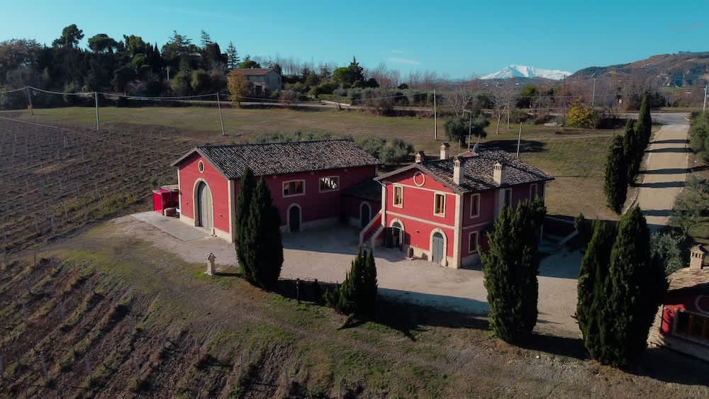 Cantina D'Erasmo 1