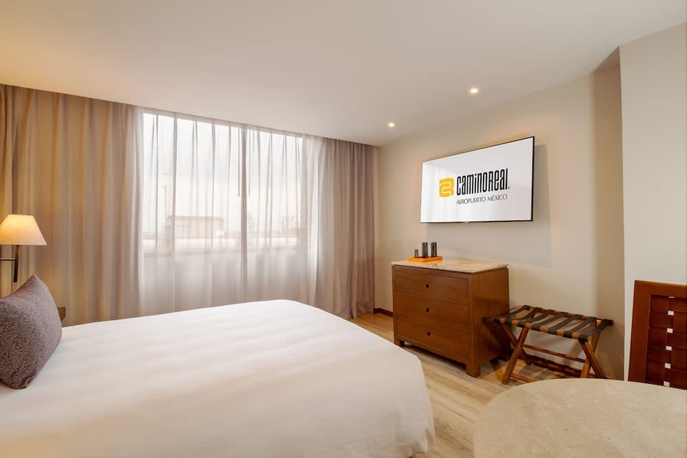 Camino Real Aeropuerto 4