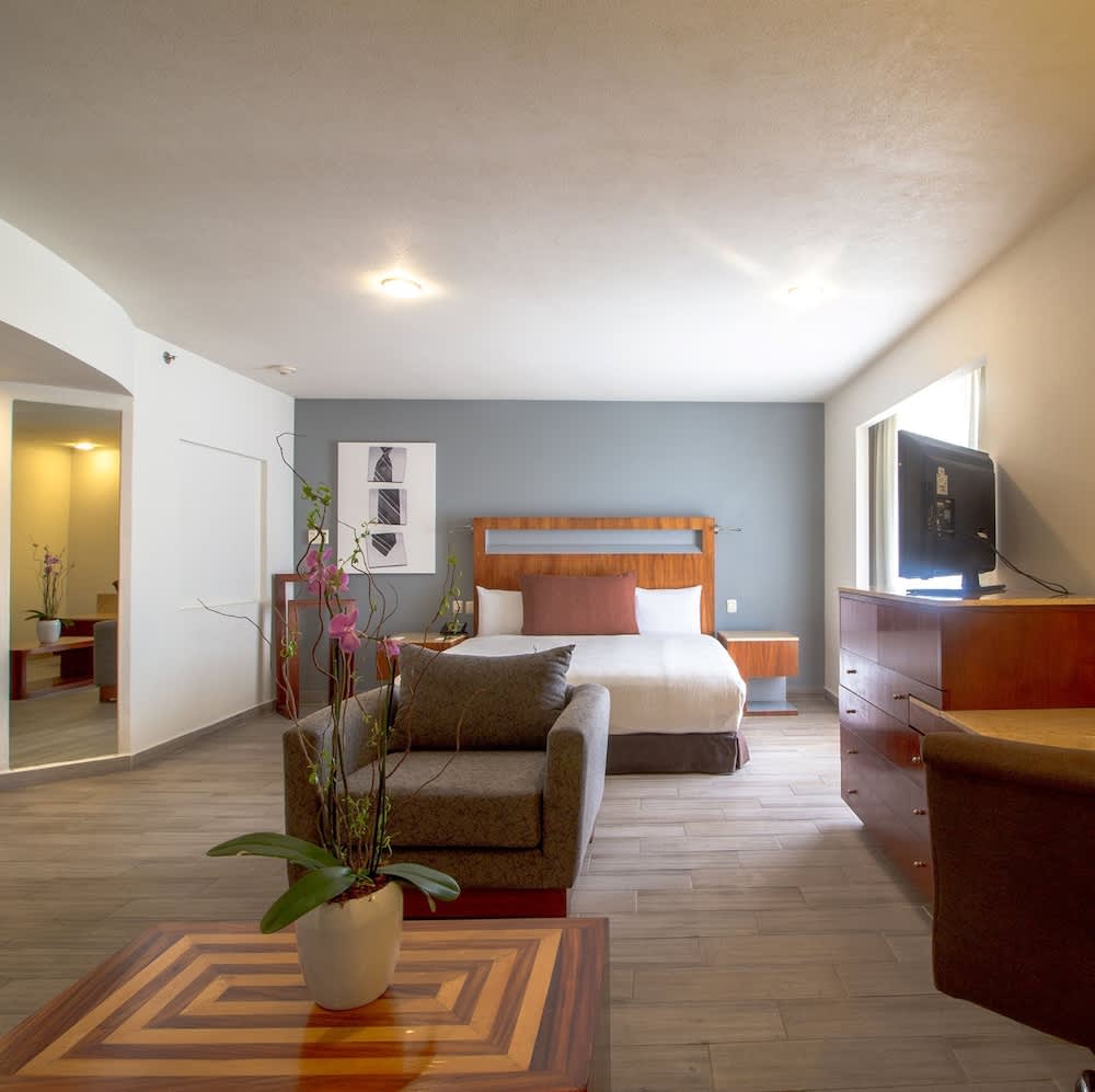 Real Inn Guadalajara Expo 5