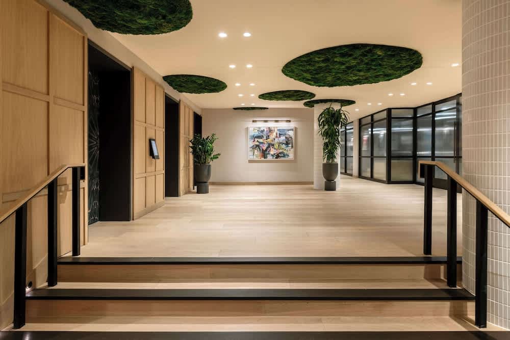 Arlo Washington DC 5