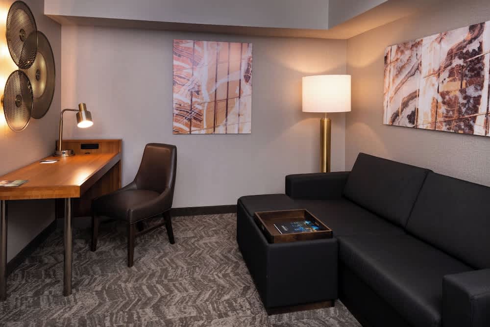 SpringHill Suites by Marriott Pittsburgh North Shore 1
