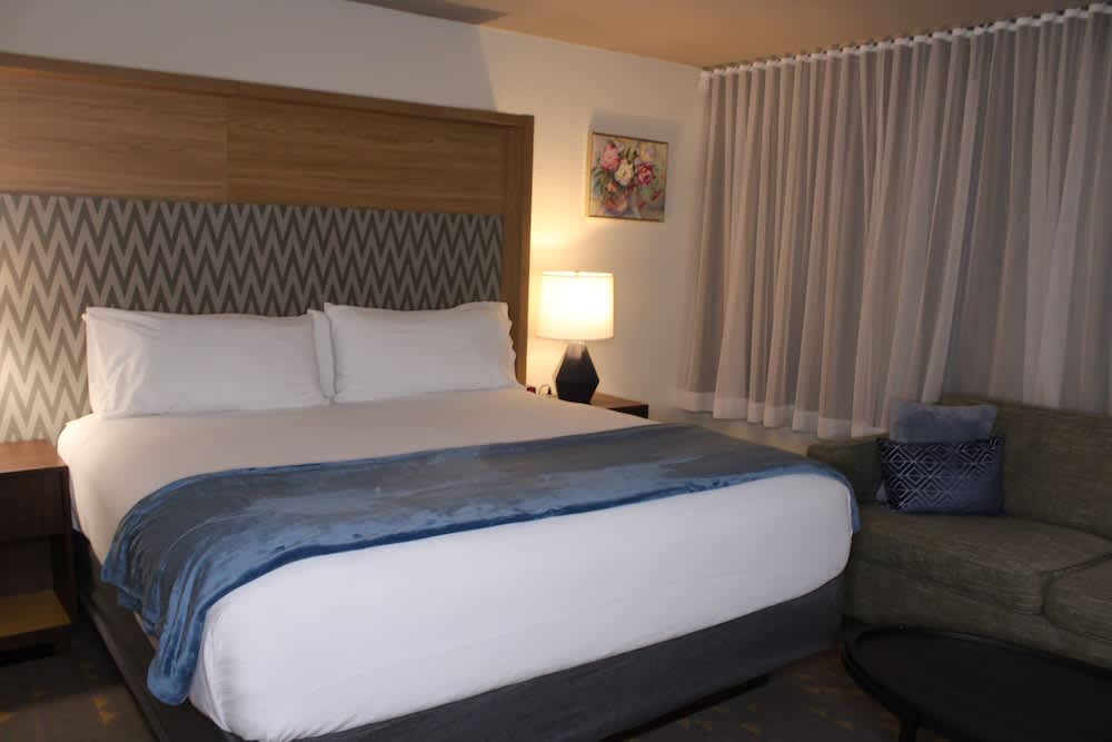 Wyndham Flint MI Grand Blanc Bishop Airport Conference Ct 1