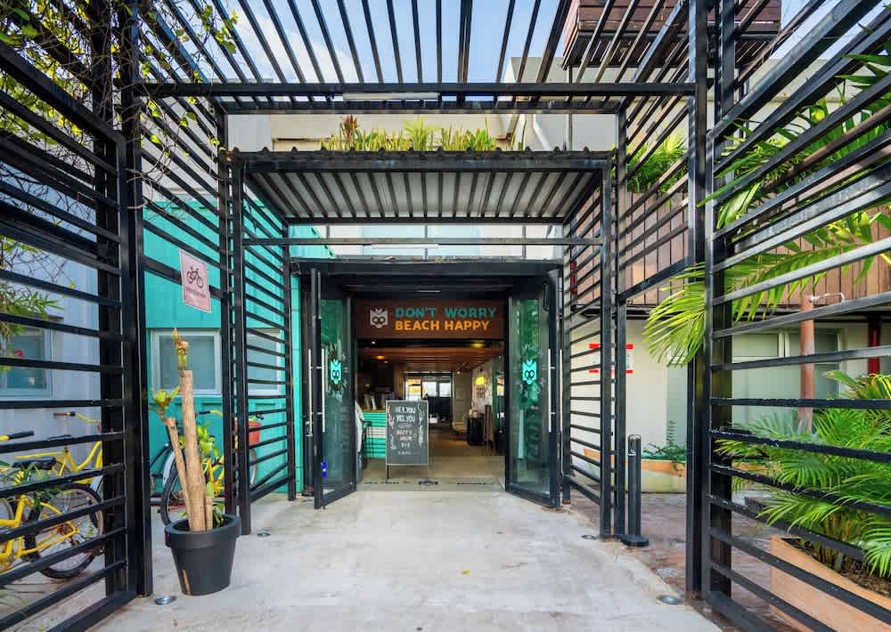 Mayan Monkey Cancun - Social Hotel 3