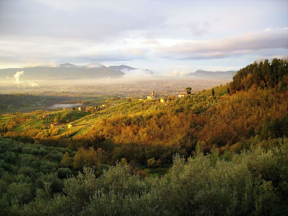 Fattoria Gambaro di Petrognano 1