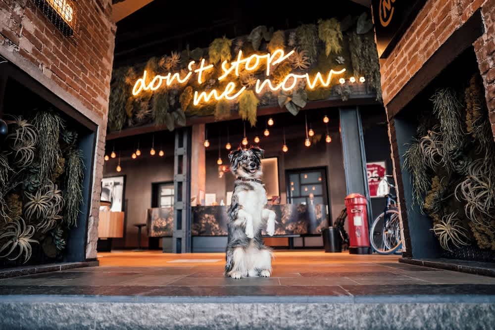 Me and All Hotel Hanover, by Hyatt 2