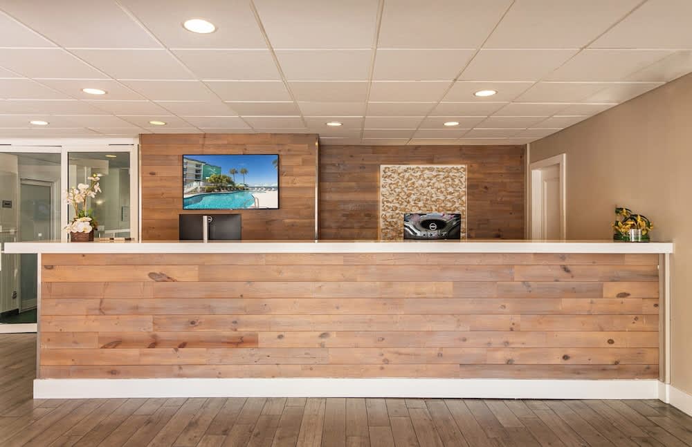 Palm Tree Club Miami 3