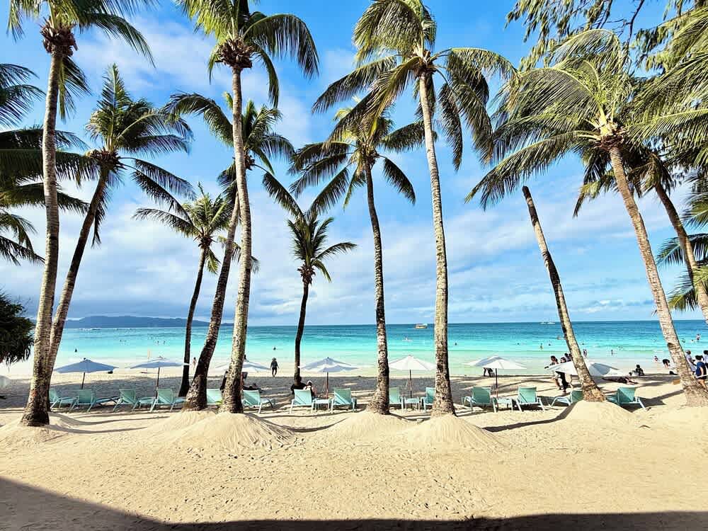 Calypso Beach and Dive Resort 1