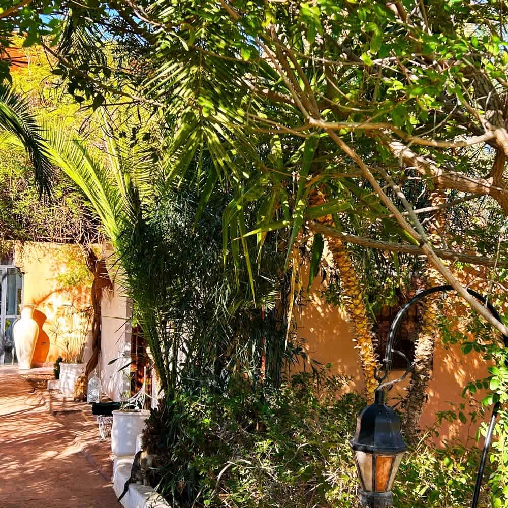 Les Jardins D'Issil Maison d'Hôtes 2