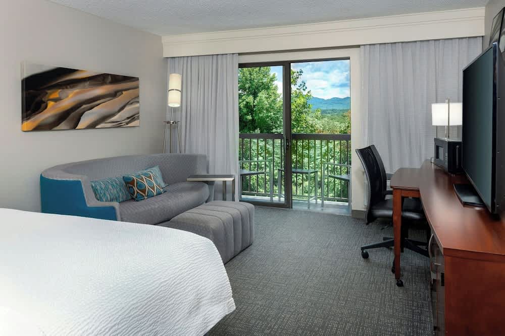 Courtyard by Marriott Asheville 1