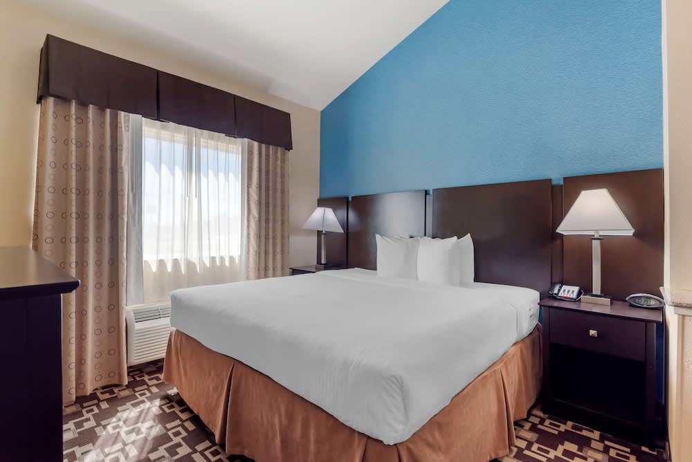 Best Western Plus Arlington North Hotel & Suites 1