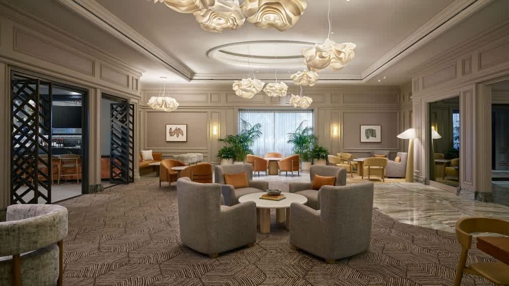 The Camby, Autograph Collection 4