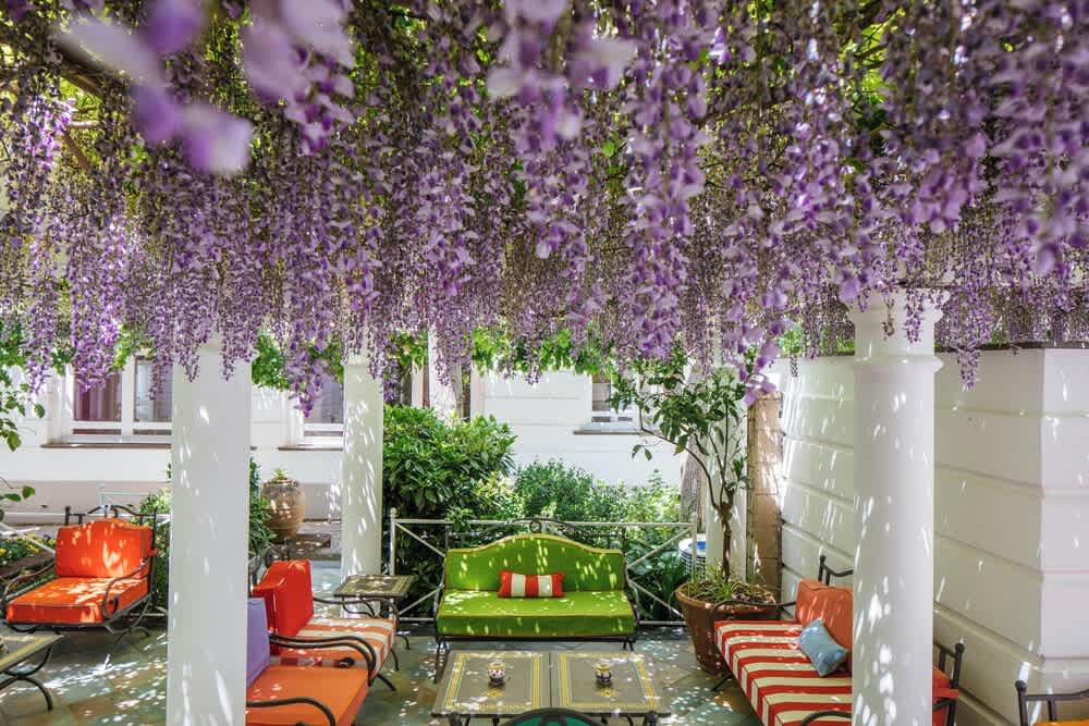 Boutique Hotel Don Alfonso 1890 1