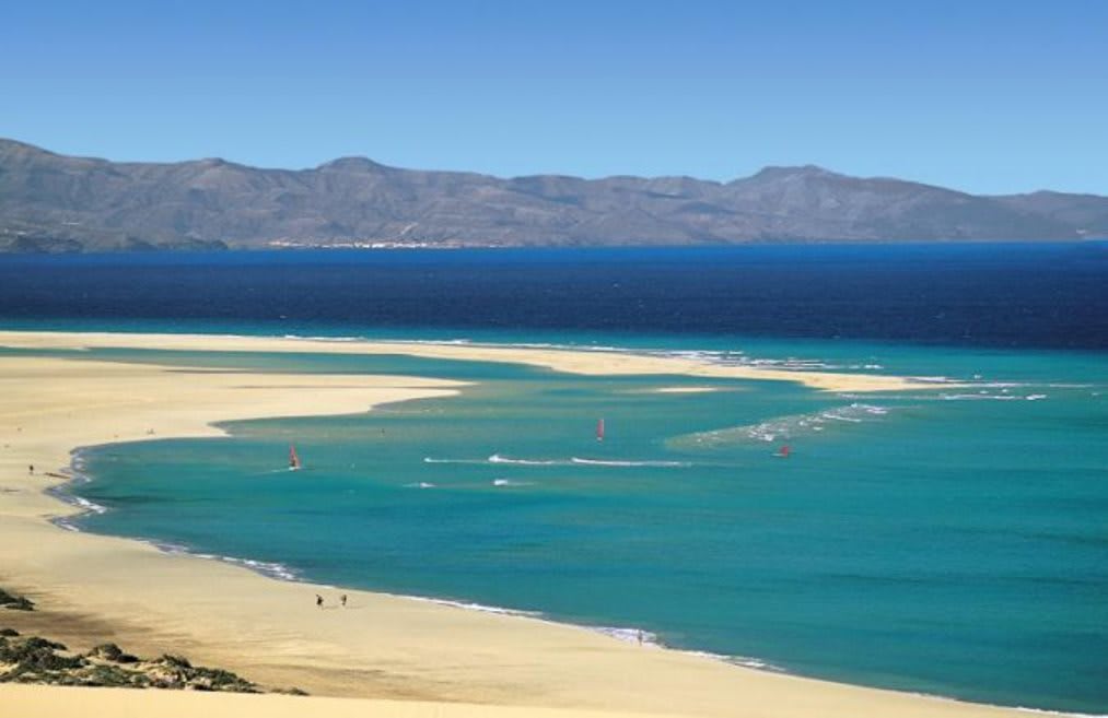 FERGUS Cactus Garden 2