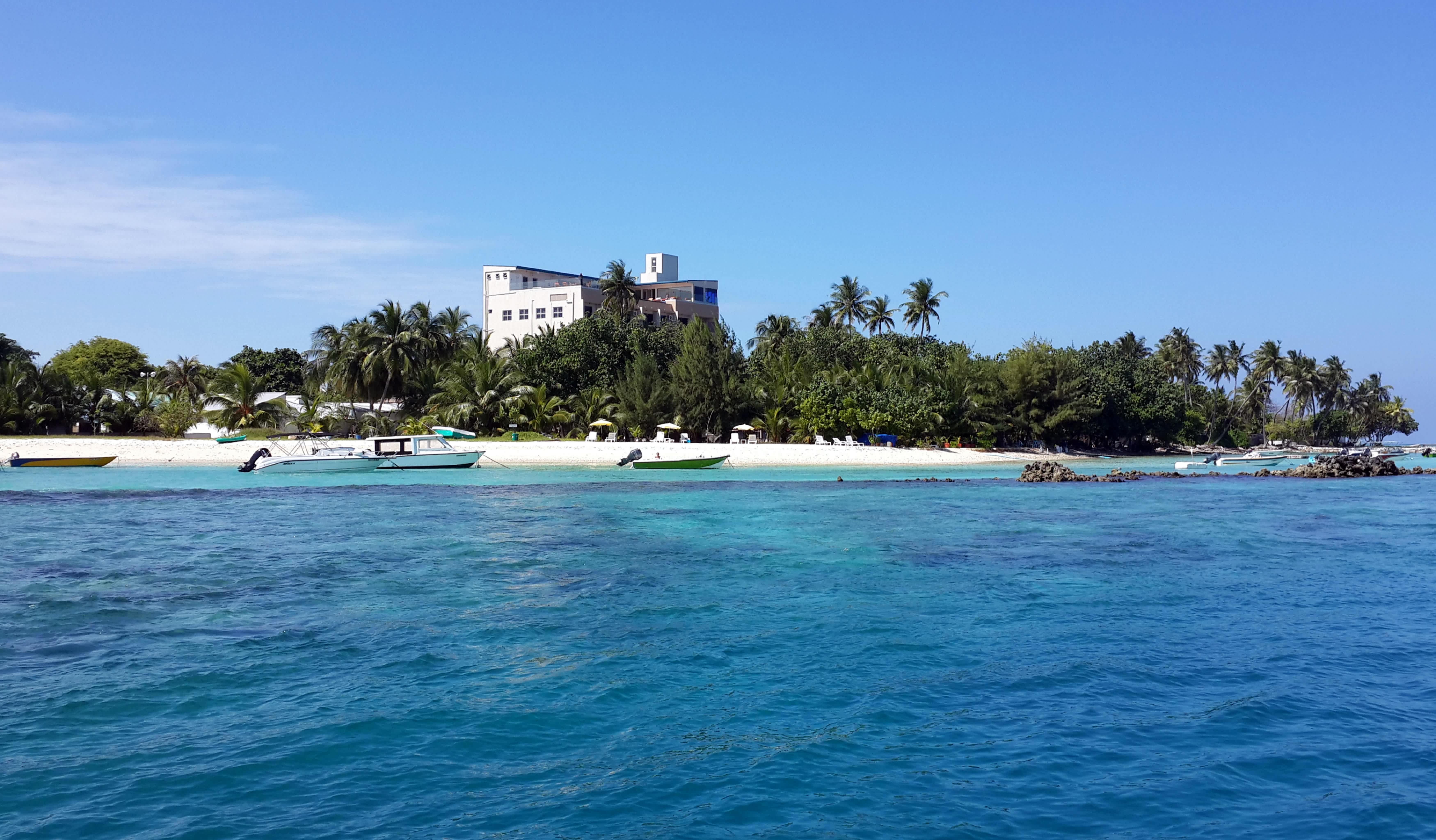 Season Paradise 2