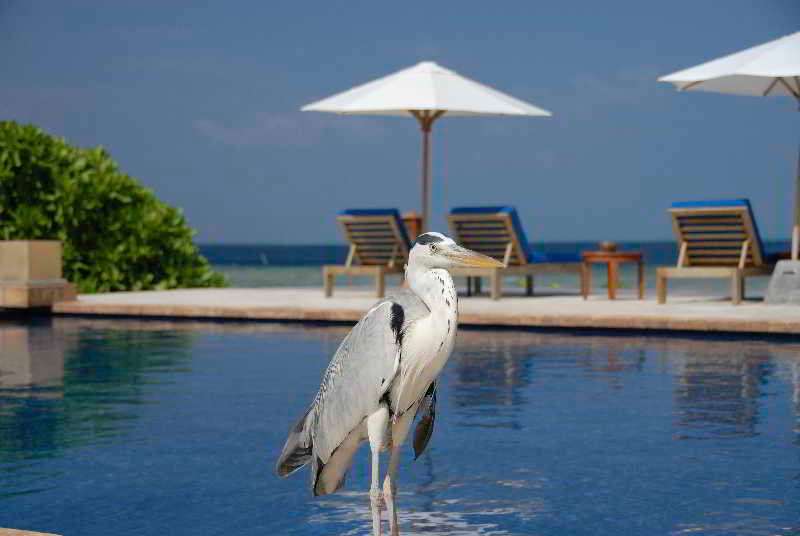 OBLU NATURE Helengeli-All-Inclusive with free Transfers 1