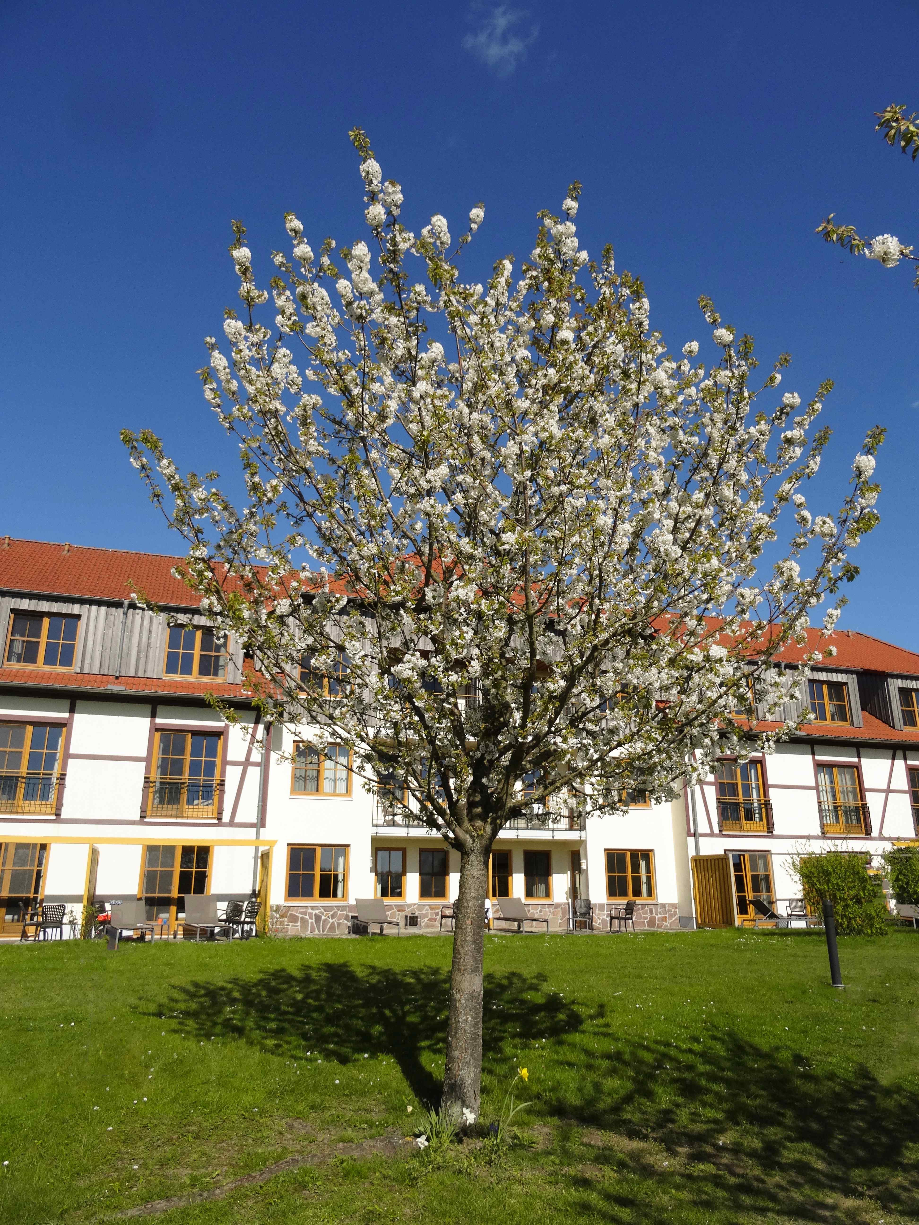 ROBINSON Fleesensee 1