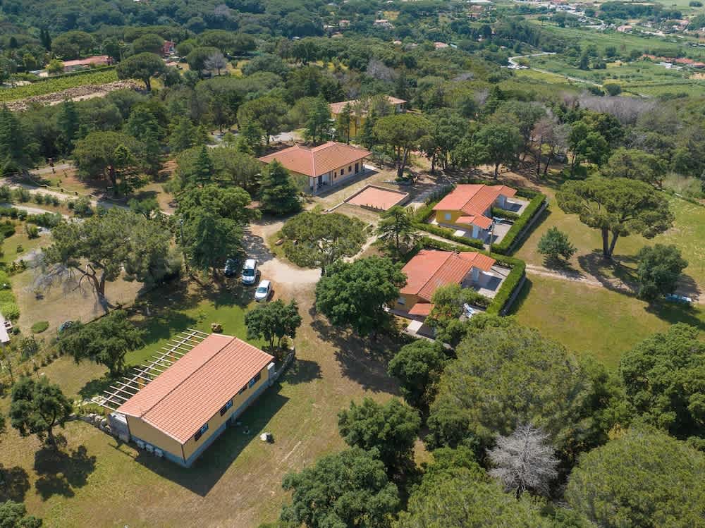 Villino nel Bosco 1
