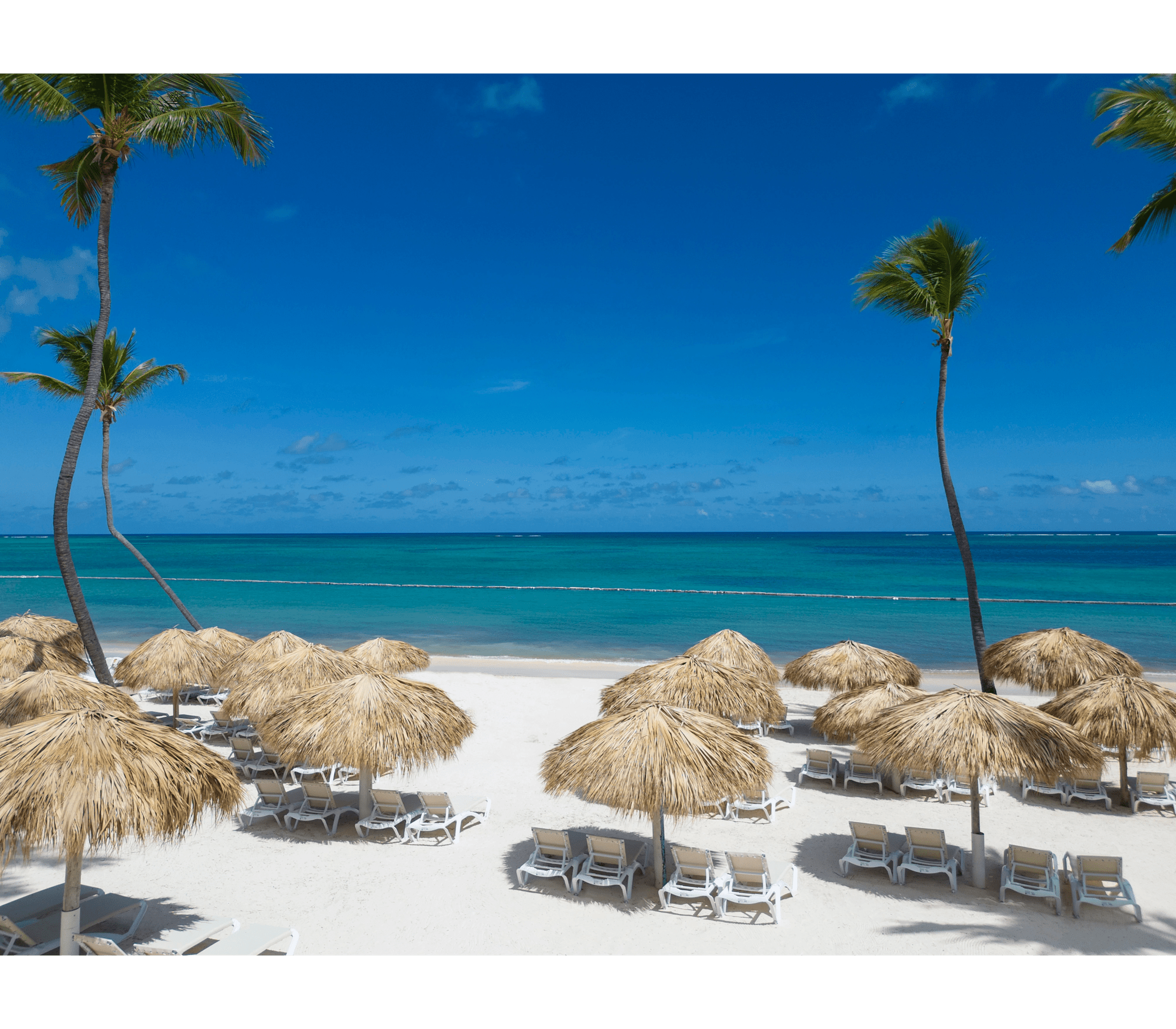 Sunscape Coco Punta Cana - All Inclusive 3