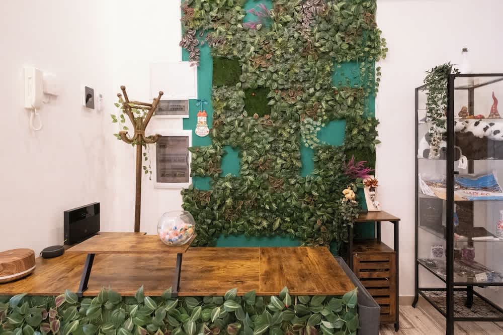 La casa di LùAle e Zoe 2