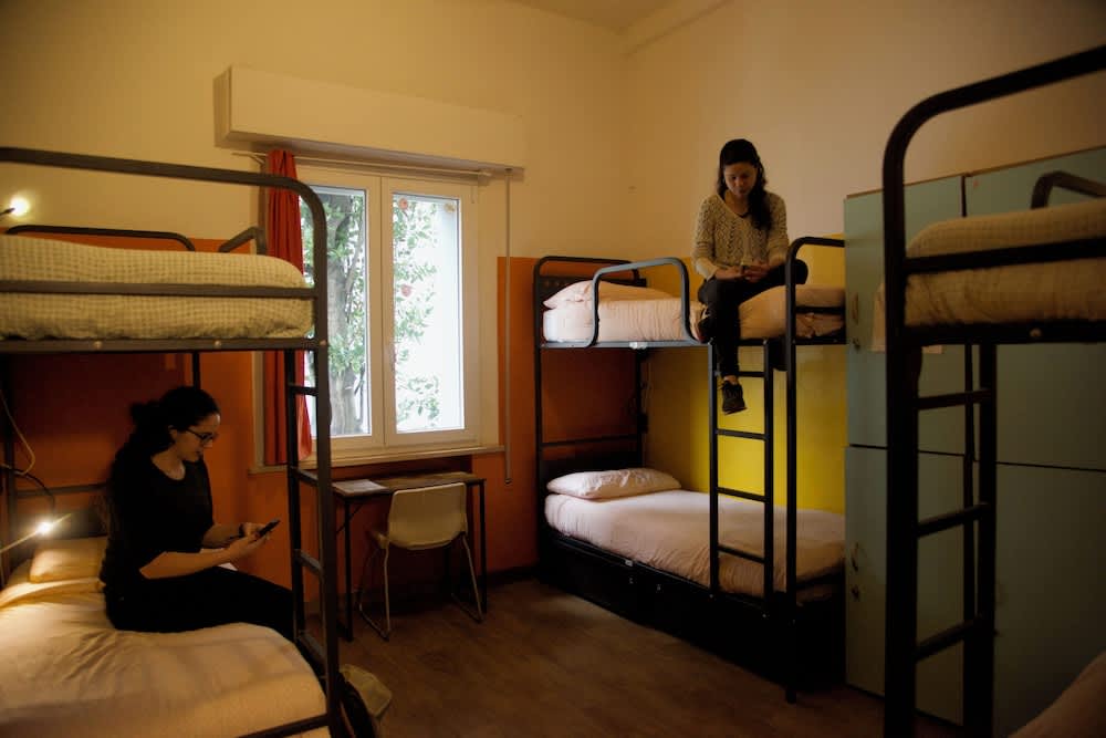 Sunflower City Student Hostel & Bar 4