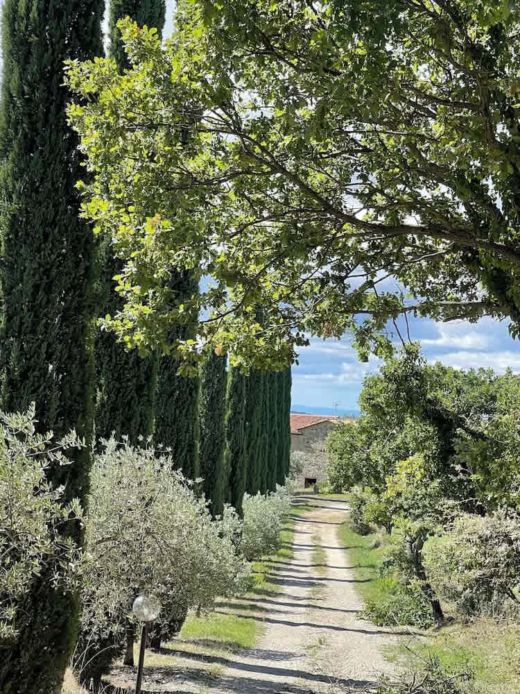 Agriturismo Melodie Toscane 1
