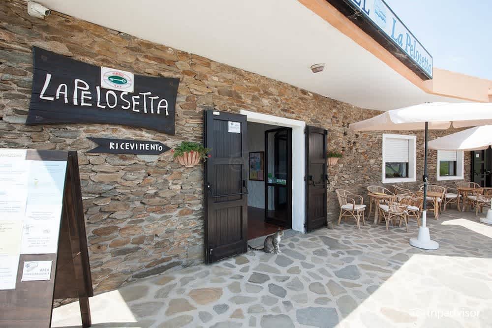 Residence in Stintino 50 mt from the sea 1