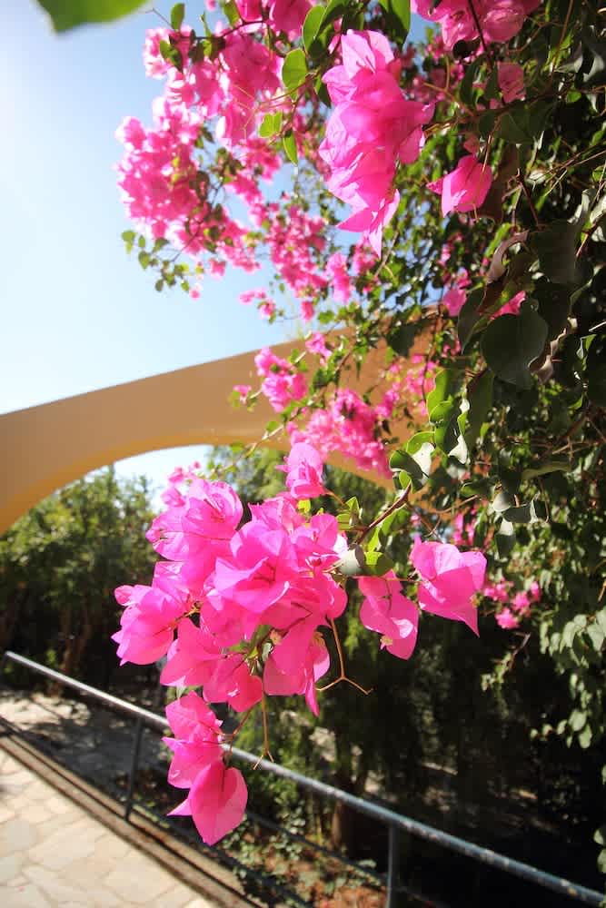 Horizon Beach Hotel 1